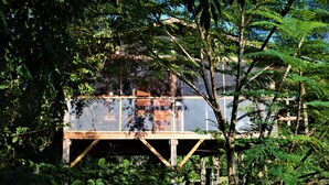 A wooden structure with a glass enclosure, surrounded by dense foliage. - 2BR Unique Private Tree Top Cottage in Tropical Garden, Near San Ignacio Town (San Ignacio)