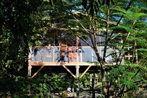 A wooden structure with a glass enclosure, surrounded by dense foliage.