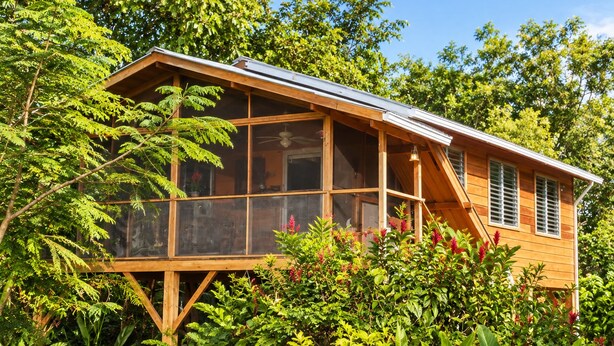 A wooden house with large windows and a balcony, surrounded by lush greenery. - 2BR Unique Private Tree Top Cottage in Tropical Garden, Near San Ignacio Town (San Ignacio)