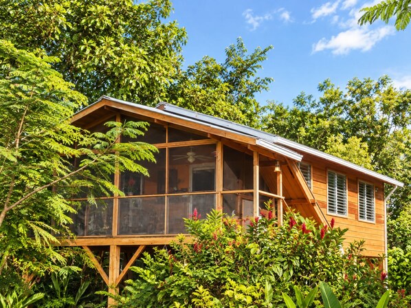 A wooden house with large windows and a balcony, surrounded by lush greenery.