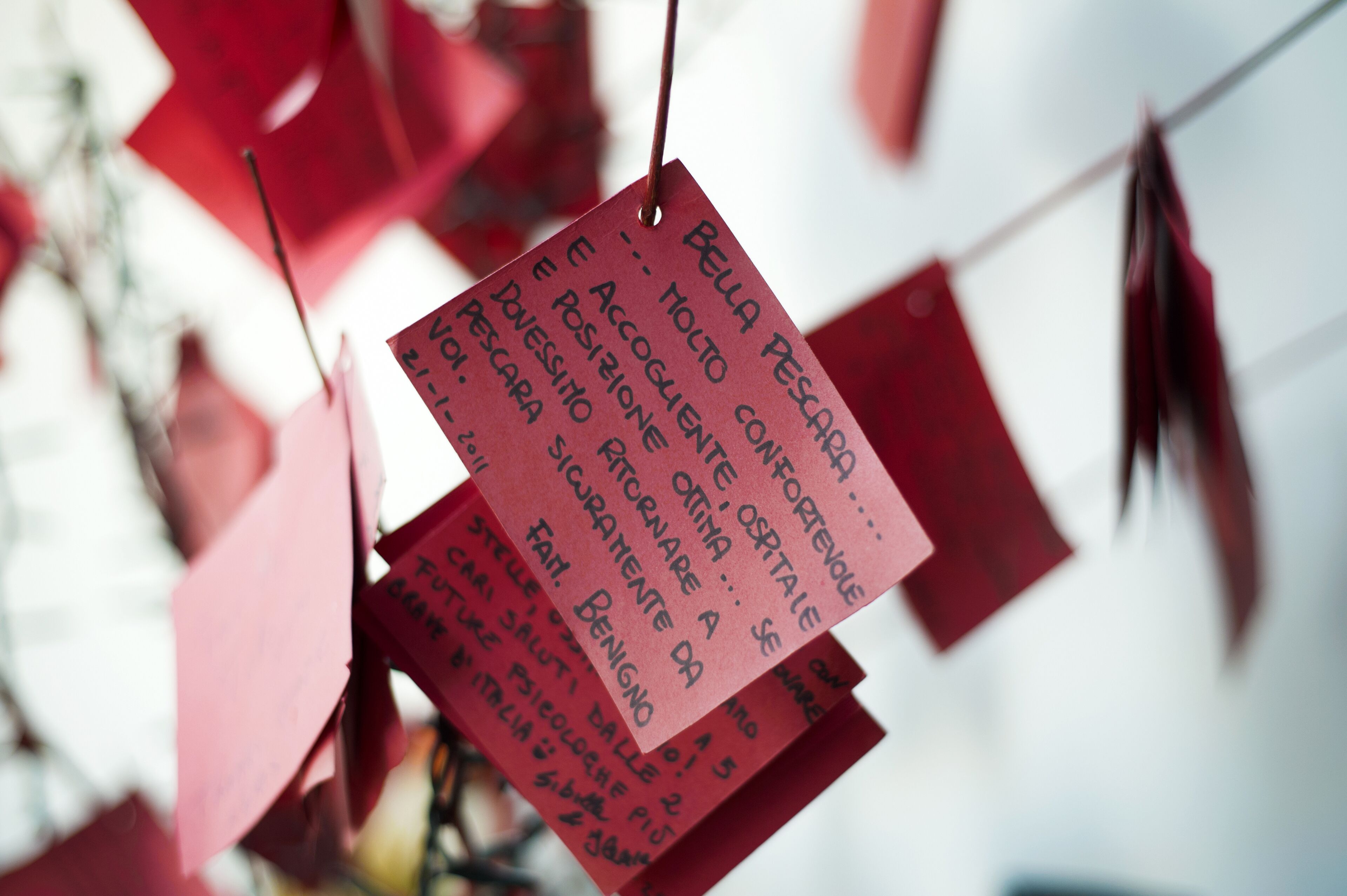 Foto - Bella Pescara Bb - Abruzzo, Italy