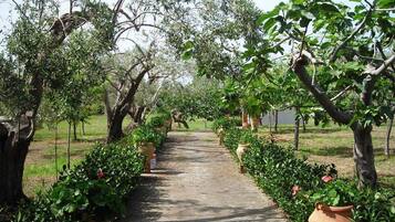 House, 1 Bedroom, Smoking, Garden View | Property grounds