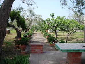 House, 1 Bedroom, Smoking, Garden View | Property grounds