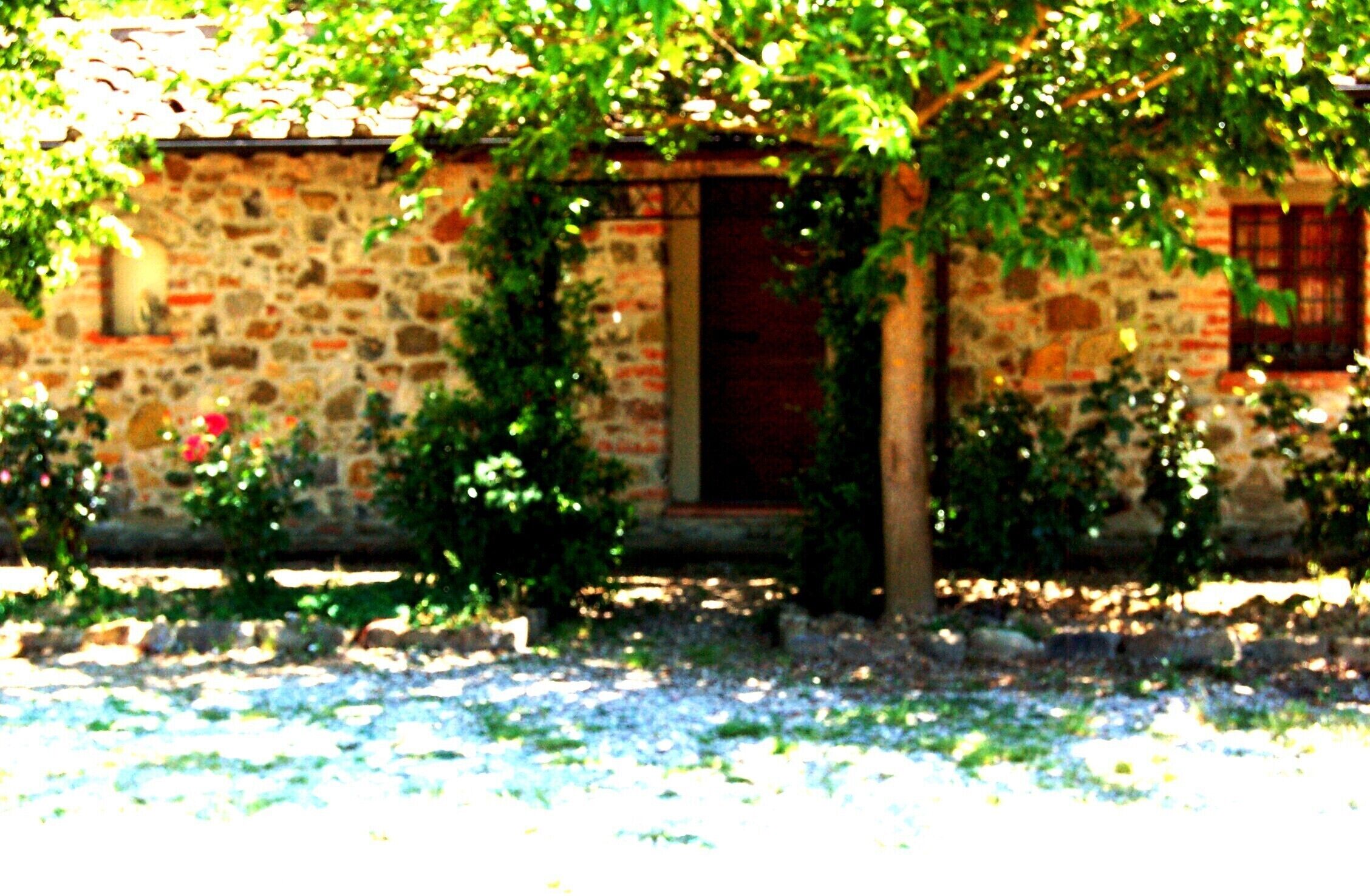 Appartement, 1 chambre, fumeurs, balcon | Extérieur
