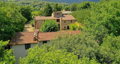 Three-room Apartment on the Outskirts of Chianti