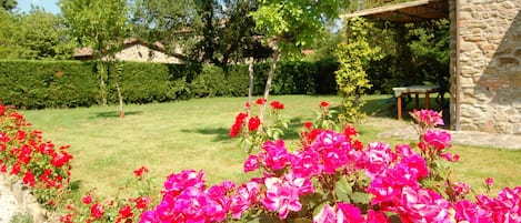 Apartment, 1 Bedroom, Accessible, Smoking | Exterior