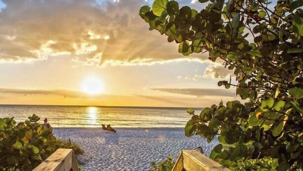 Cena de praia com pôr do sol, cerca de madeira e vegetação.