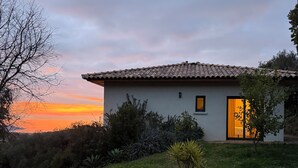Una casa moderna con techo de tejas, una ventana pequeña y una puerta con cortinas.