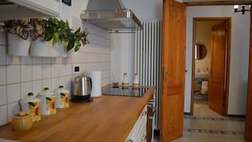 Apartment, 1 Bedroom | Private kitchen