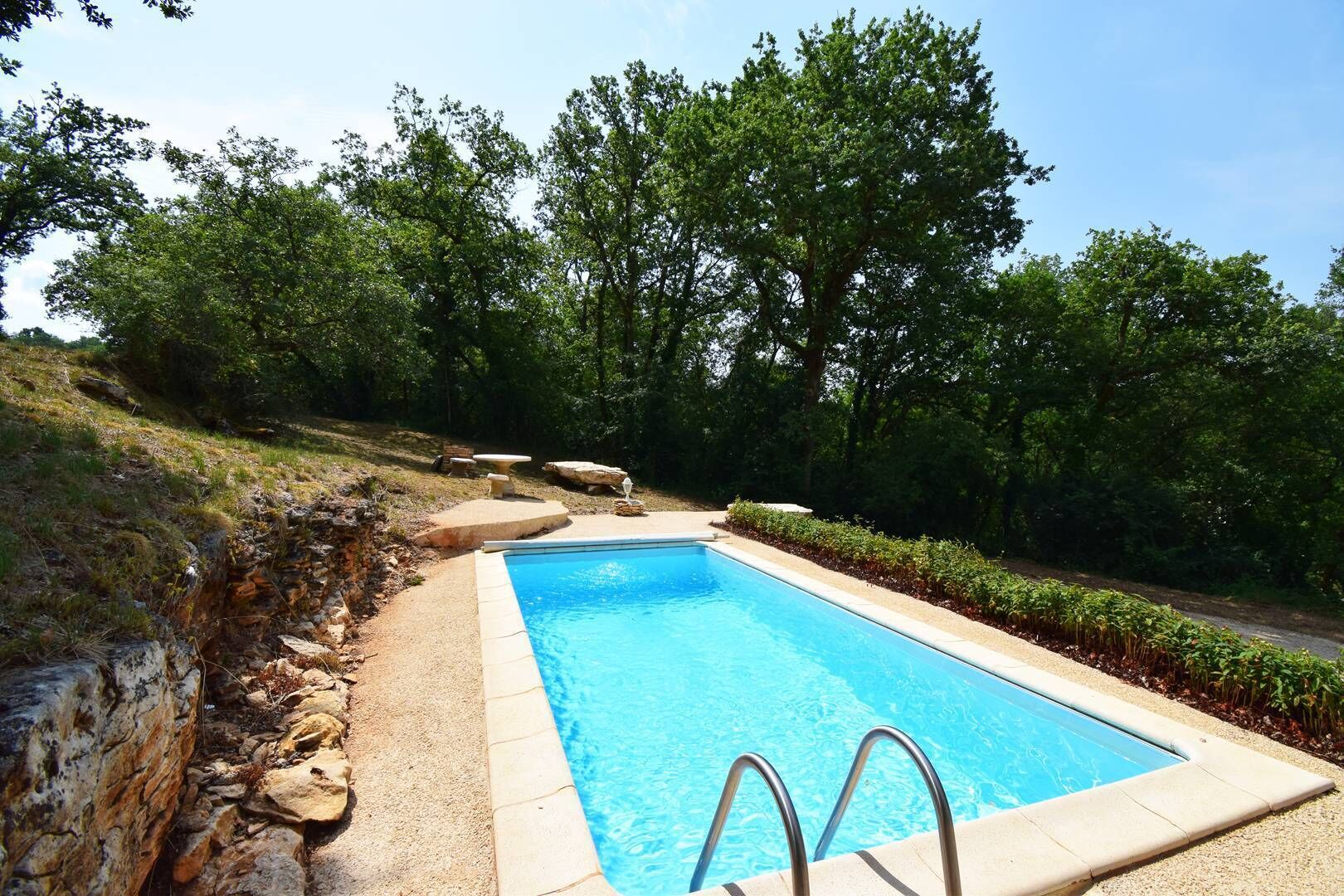 Una piscina rectangular con borde de piedra, rodeada por un área ajardinada con rocas y vegetación.