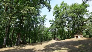 A rural setting with a small stone structure surrounded by tall trees.