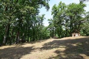 Overnattingsstedets uteområder