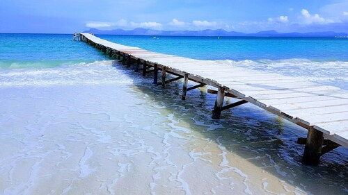 SA NACR - Fantastic and modern apartment with sea views and 50 meters from the beach. Idea