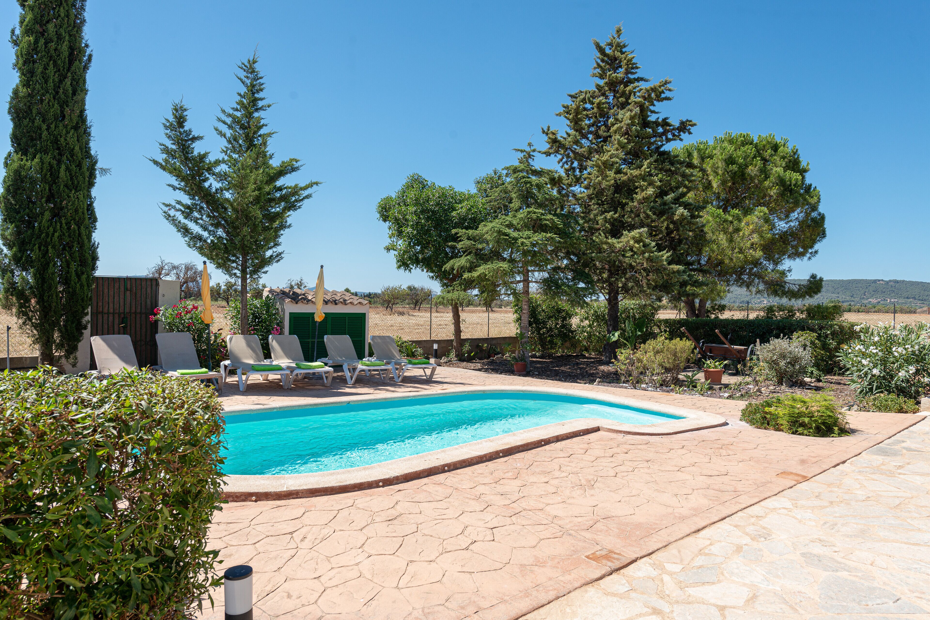 A swimming pool with lounge chairs, surrounded by trees and a clear sky.