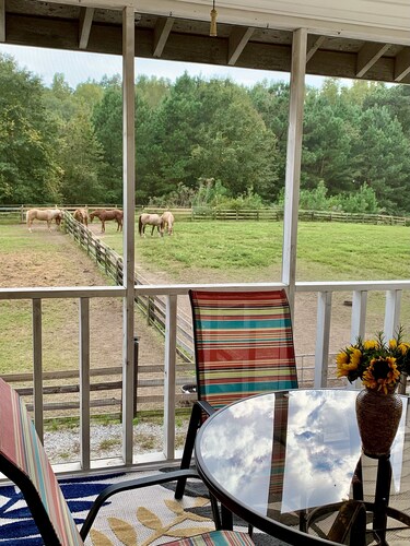 Regal Ranch Retreat *DOG & HORSE FRIENDLY*