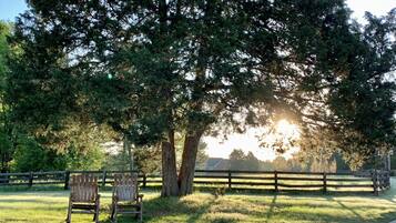 Terrein van de accommodatie