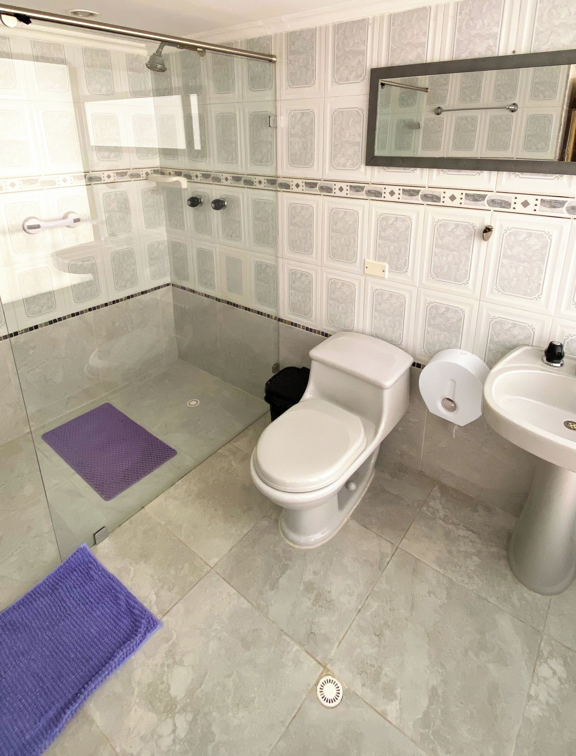 A bathroom with a shower, toilet, bidet, and sink.