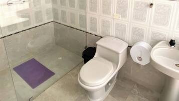 A bathroom with a shower, toilet, bidet, and sink.