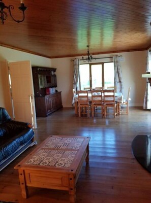 Smart TV, fireplace, DVD player, books