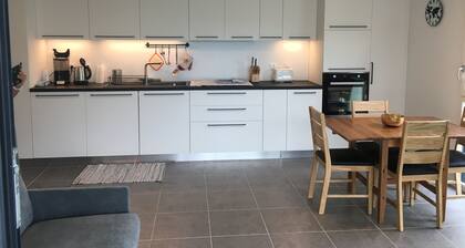 Apartment - Recent large two-room apartment- St JORIOZ - Lake Annecy