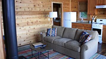 Televisión, chimenea, reproductor de DVD y videoteca