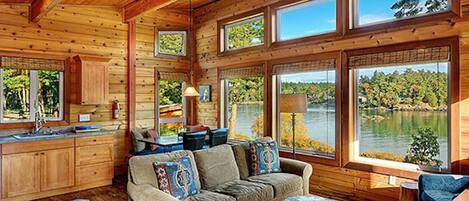 TV, fireplace, DVD player, video library