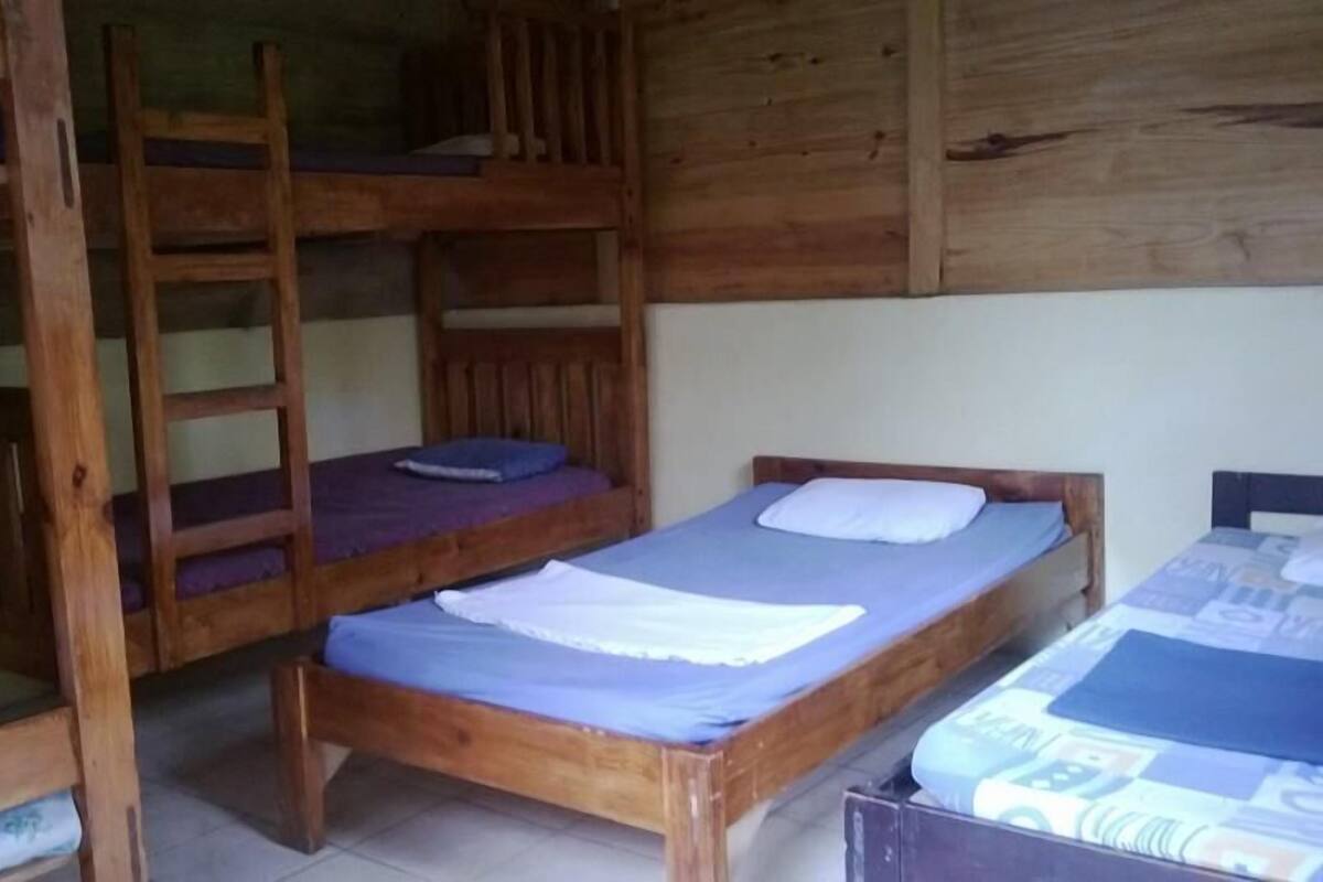 A dormitory room with bunk beds and a single bed.