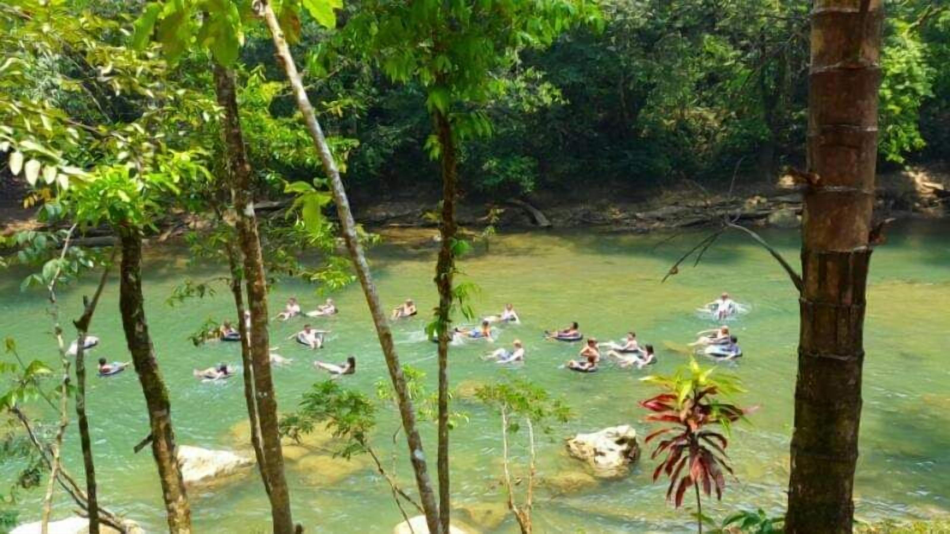 A group of people relaxing in a natural setting with a river and trees.