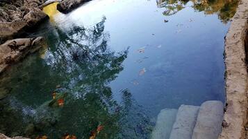 Cuerpo de agua clara con reflejos de árboles y un borde de hormigón.