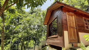 Eine Holzhütte mit Holztür und -fenster, umgeben von üppigem Grün.