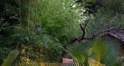 The Red House: unique views