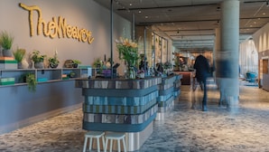 A modern reception area with a large, textured wall sign, multiple potted plants, and a counter with stools.
