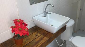 Shower, towels, toilet paper