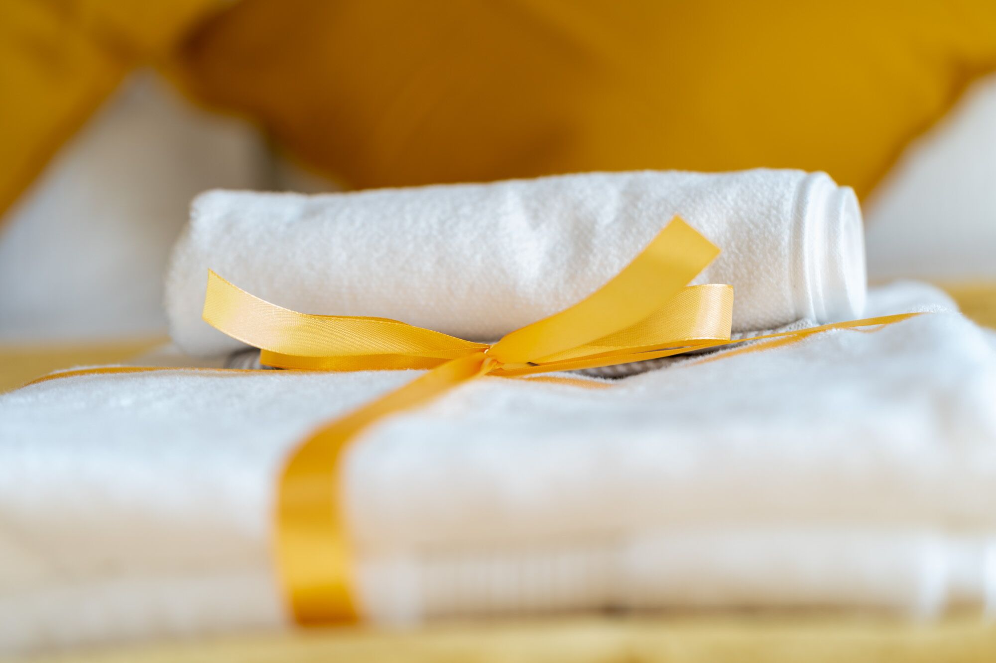 Luxurious, Spacious and Modern Living