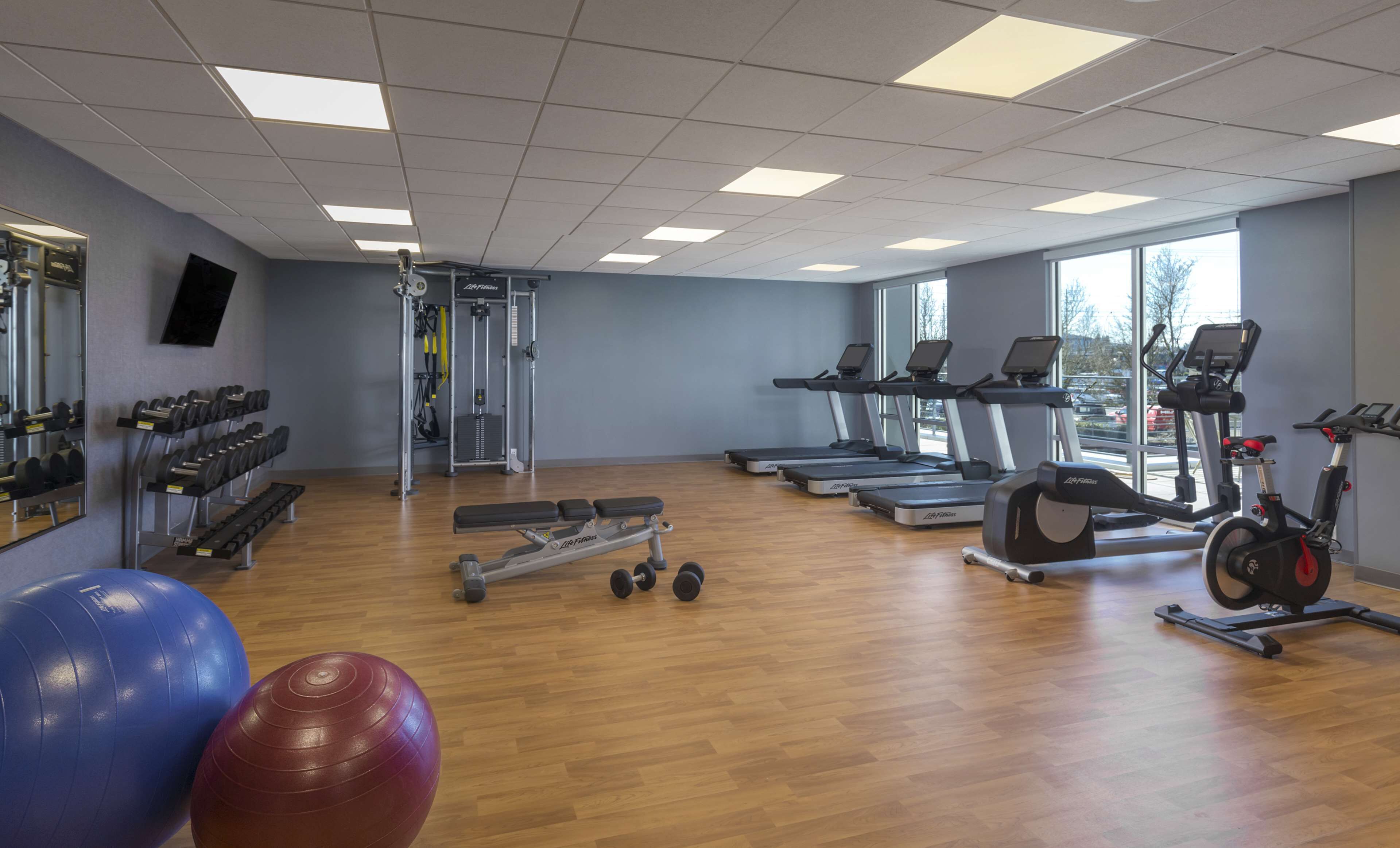 A gym with treadmills, elliptical machines, free weights, and exercise balls.