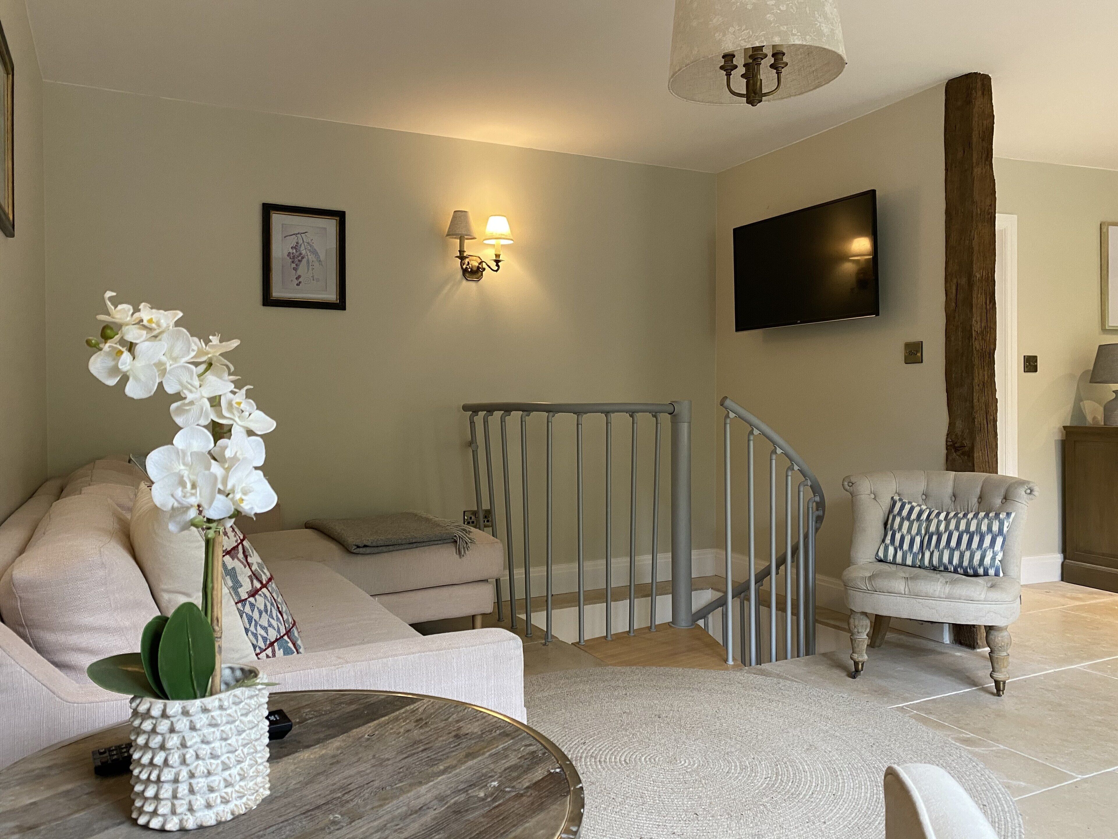 TV, video games, books