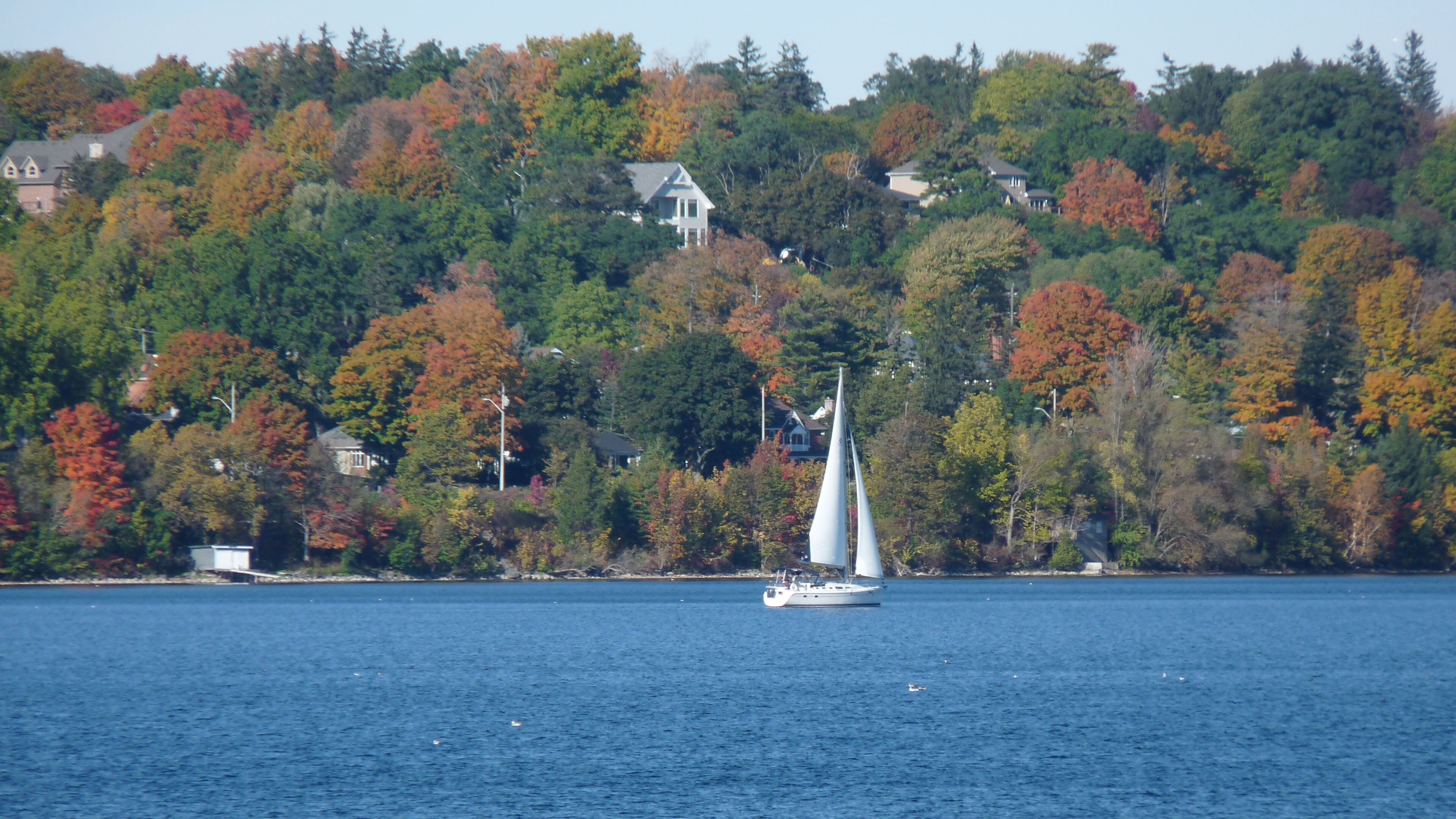 A sailboat on a calm lake with houses and autumn-colored trees in the background.