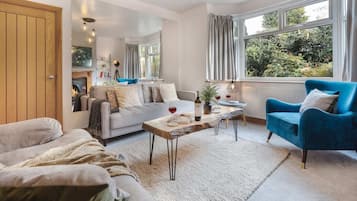 TV, fireplace, Netflix, streaming services