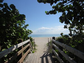Camastros y toallas de playa 