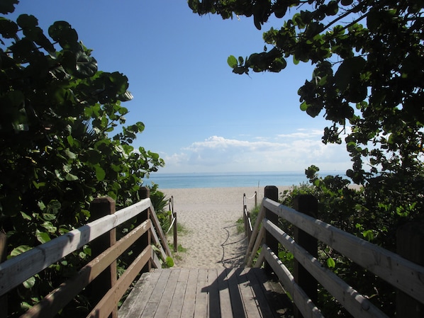 Sillas reclinables de playa, toallas de playa