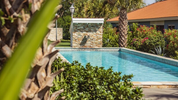 A swimming pool with a stone wall and a palm tree in the background. - Luxury Vacation Apartment "Casa Blou Curacao" Blije Rust 13 near Blue Bay Resort (Willemstad)