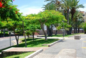 المنطقة المحيطة بالمنشأة