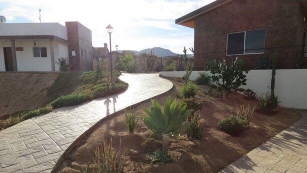A paved pathway curving through a landscaped area with cacti and small plants, leading to a building with a flat roof and a satellite dish. - Casitas del Valle  (Valle de Guadalupe)