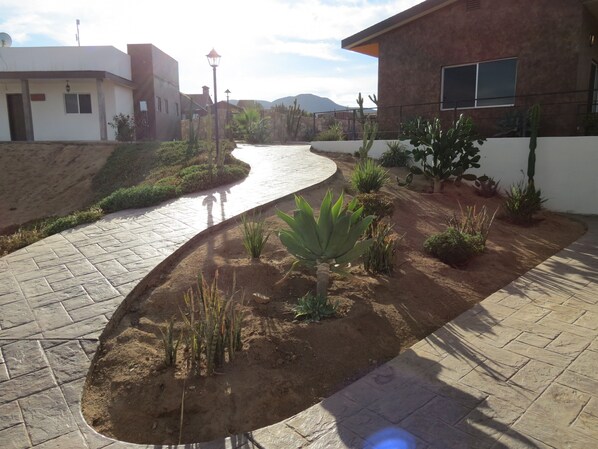 Terrace/patio - Casitas del Valle  (Valle de Guadalupe)