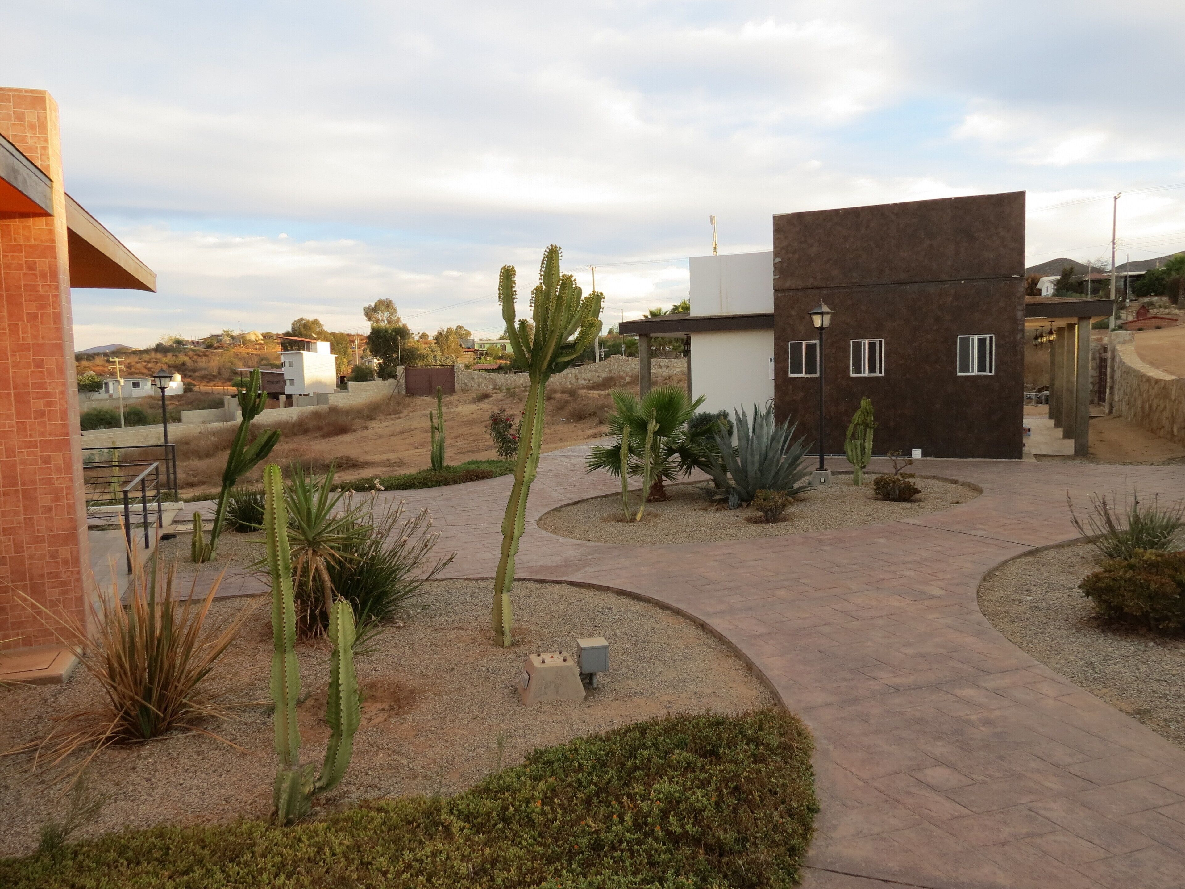 A modern building with a brick facade, a paved courtyard with cacti, and a clear sky.