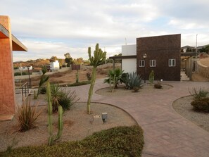 Un edificio moderno con fachada de ladrillo, un patio empedrado con cactus y un cielo despejado.
