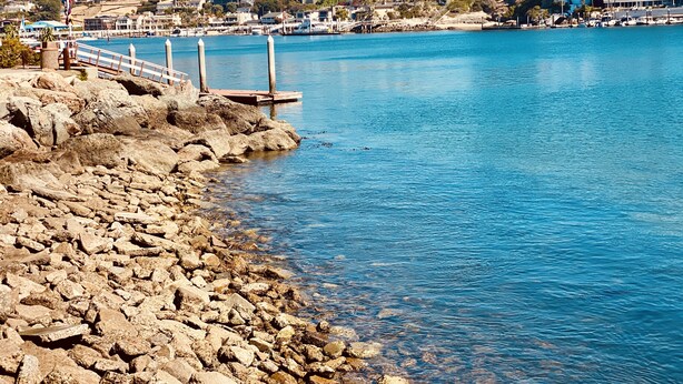 A rocky shoreline with a pier and a cityscape in the background. - *Immaculate Villa! Waking Distance To All Local Favorites! Steps to the Beach!* (Newport Beach)