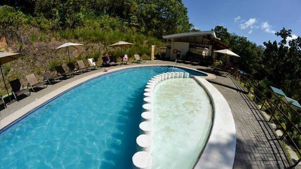 Una piscina con sillones de descanso y sombrillas, rodeada de árboles y una zona cubierta.