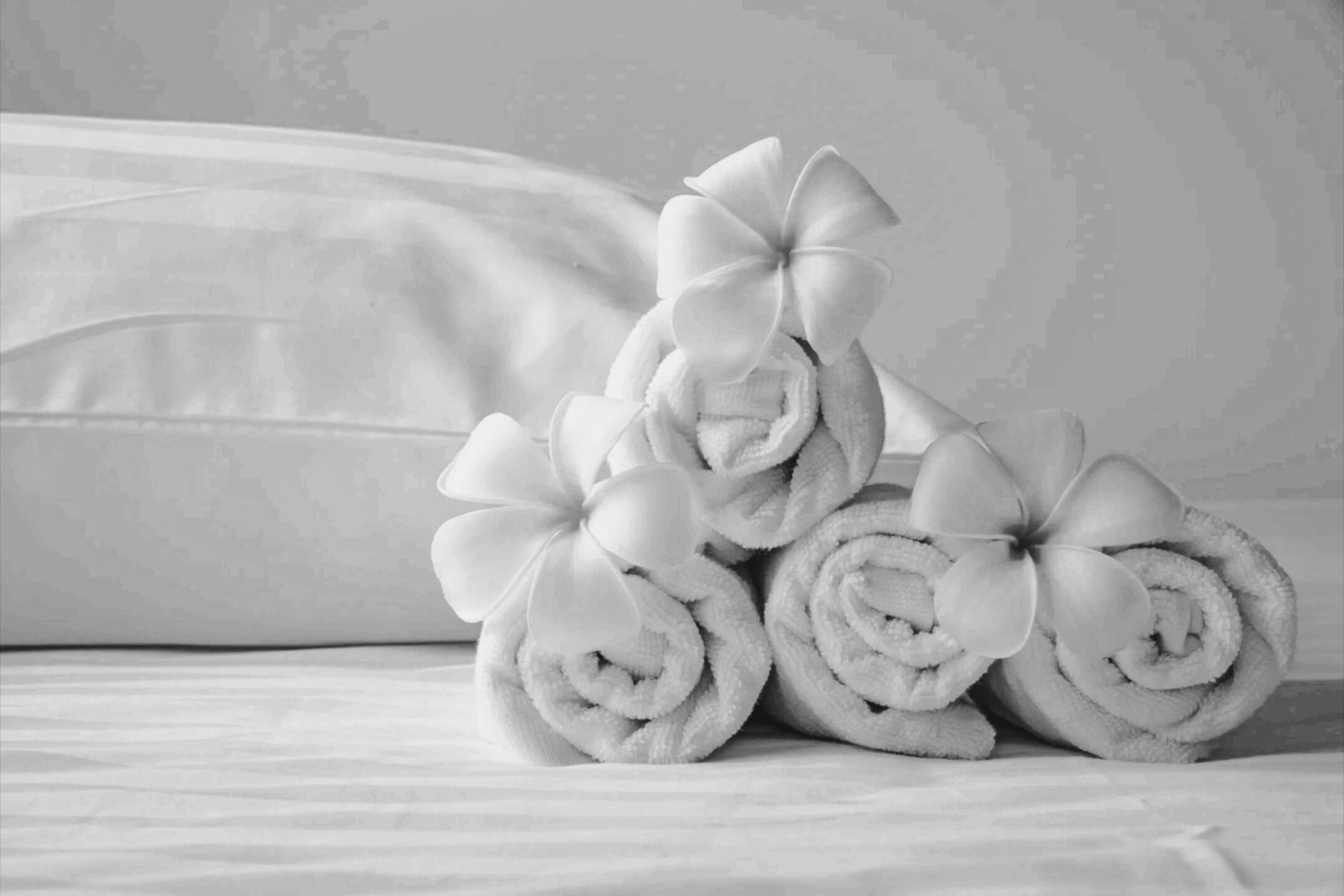 Location, Location Plan a local experience at the Retro Retreat Ballarat Central