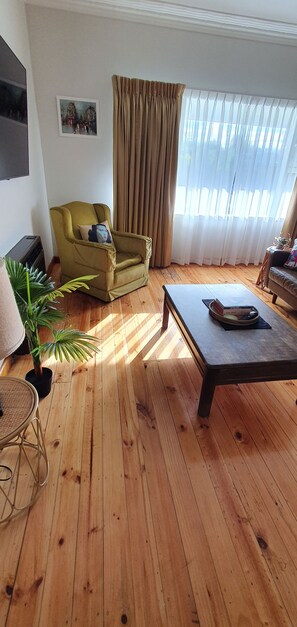 Smart TV, Netflix, books, streaming services